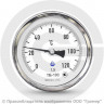 Термометр биметаллический осевой ТБ-63 G 1/2 Ру-25 от 0 до +120°C, ножка 100 мм