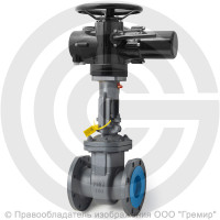 Задвижка стальная фланцевая Ду-80 Ру-16 (Т<200°С) 30с941нж Китай с электроприводом Benarmo-А.70/24 (380 В) Задвижка стальная фланцевая Ду-80 Ру-16 (Т<200°С) 30с941нж Китай с электроприводом Benarmo-А.70/24 (380 В)