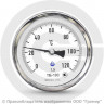 Термометр биметаллический осевой ТБ-63 G 1/2 Ру-25 от 0 до +120°C, ножка 50 мм