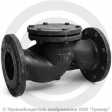 Клапан обратный подъемный чугунный фланцевый Ду-65 Ру-16 (Т<225°С) 16ч6п