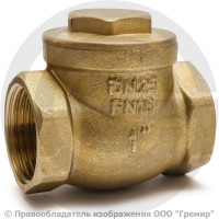 Клапан обратный поворотный латунный Ду-20 (3/4") Ру-16 ВР (ВН) (Т<110°С) латунь N6 Giacomini