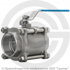 Кран нержавеющий AISI 316 (CF8M) Ду-8 (1/4") Ру-63 ВР (ВН) муфтовый полнопроходной АДЛ BV17