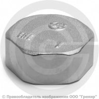 Заглушка латунная ВР (ВН) Ду-25 (1") никель Aquasfera