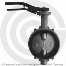 Затвор дисковый поворотный межфланцевый Ду-50 Ру-16 с чугунным диском Giacomini R59W