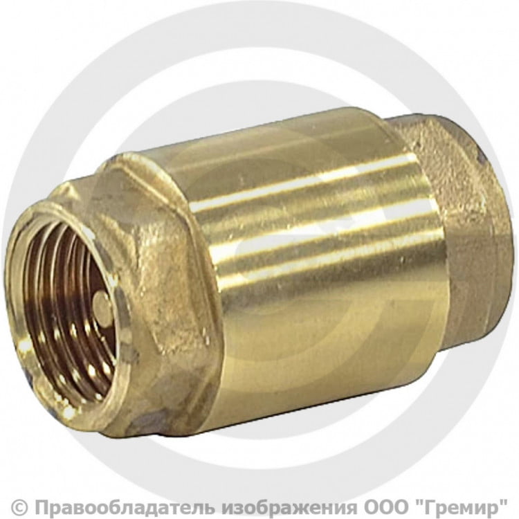 Клапан обратный аксиальный пружинный. Обратный клапан текофи ду200 ggg50. Пруж. Клапан обратный аксиальный пружинный. Клапан обратный латунный пружинный муфтовый ду50.