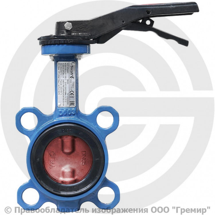 Затвор дисковый поворотный Ду-65 Ру-16 Giacomini R59W с нержавеющим ...