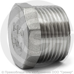 Заглушка нержавеющая AISI 304 6-ти гранная НР (НАР) Ду-25 (1")
