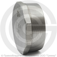 Заглушка нержавеющая AISI 304 6-ти гранная НР (НАР) Ду-100 (4")