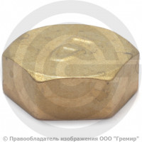 Заглушка латунная ВР (ВН) Ду-15 (1/2") LD