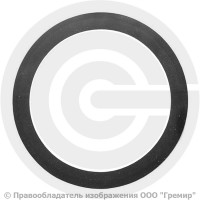 Прокладка фланцевая резиновая ТМКЩ Ду-300 Ру-16 исп. А ГОСТ 15180-86