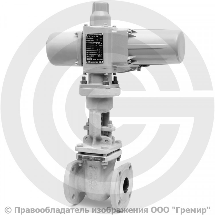 Задвижка стальная фланцевая 30с941нж с электроприводом Ду 50 цена со ...